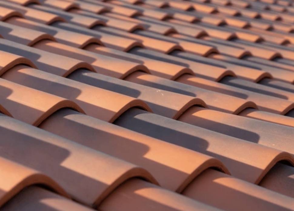 Warm clay pantile roof at golden hour